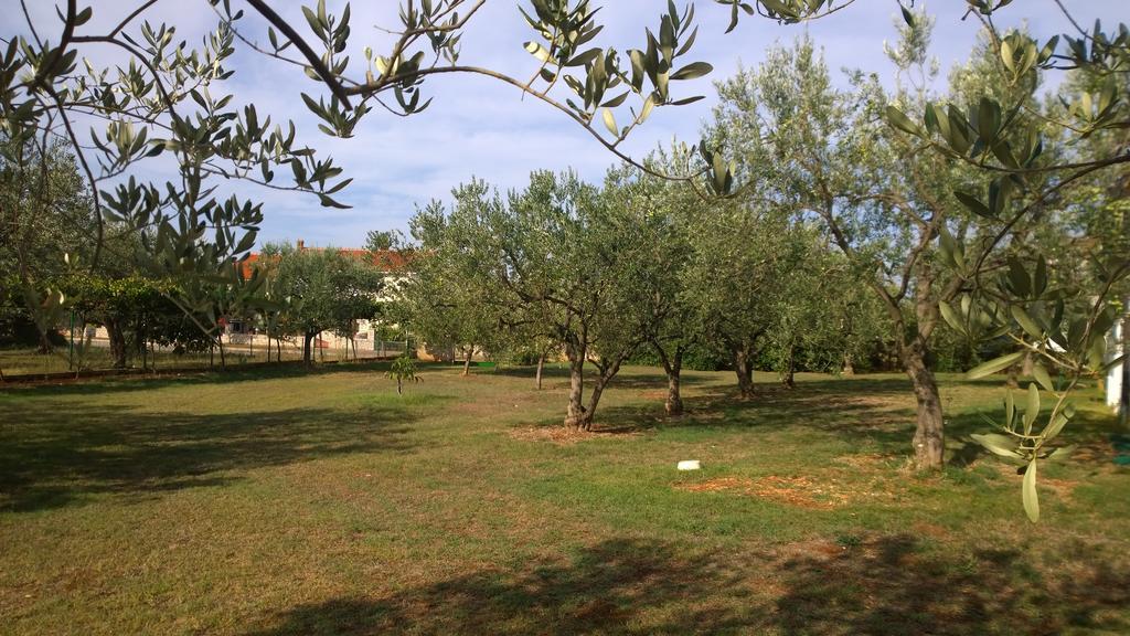 Apartment Free Parking Big Garden Peroj Buitenkant foto
